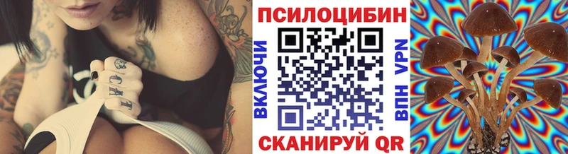 Псилоцибиновые грибы Psilocybe  Агидель 